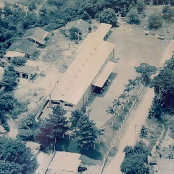 Company History